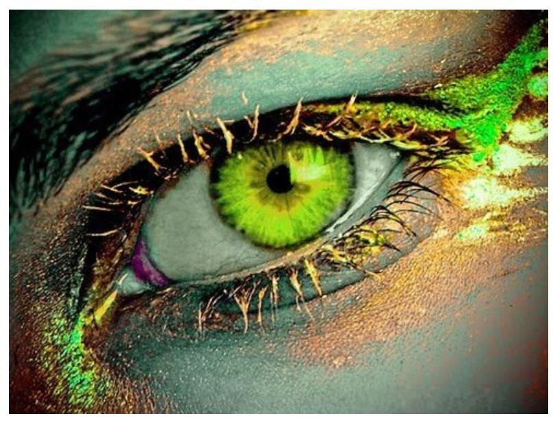 Фото из интернета