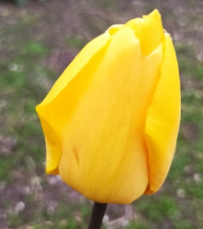 Смотреть на фото надо под одноименную песню Наташи Королевой! ))))