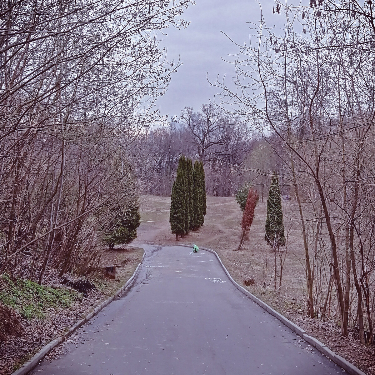 Очередная прогулка-пробежка в ближайшем лесопарке ;-)