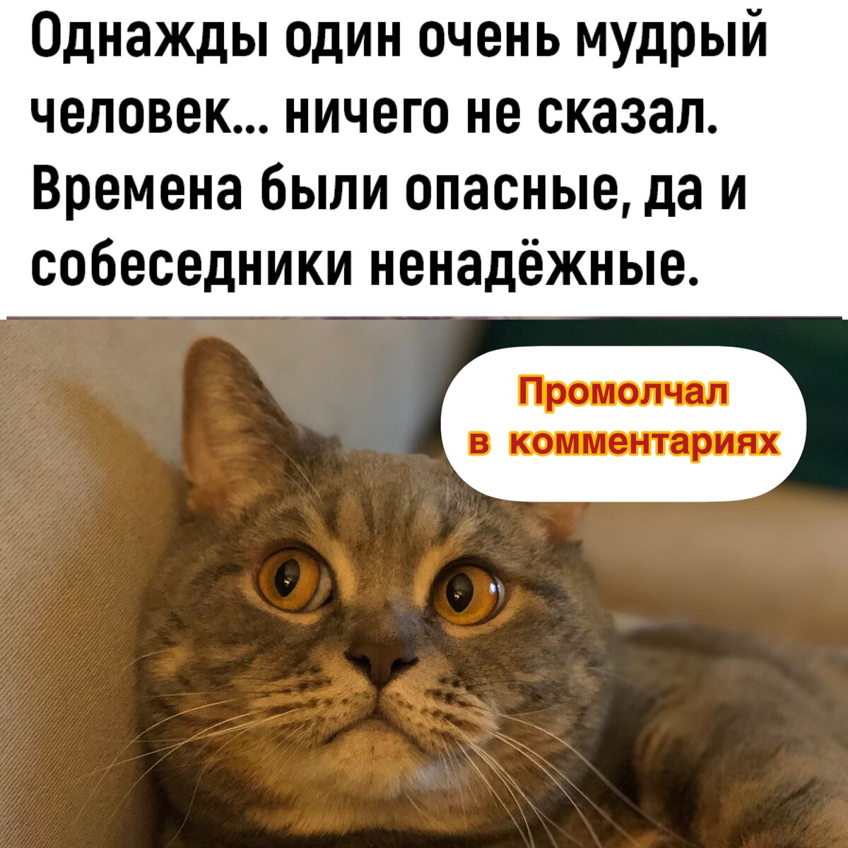 Посмеялся сам - поделись с другом!!!