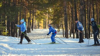 Где на них в Петербурге и области, взять беговые лыжи напрокат и покататься.
