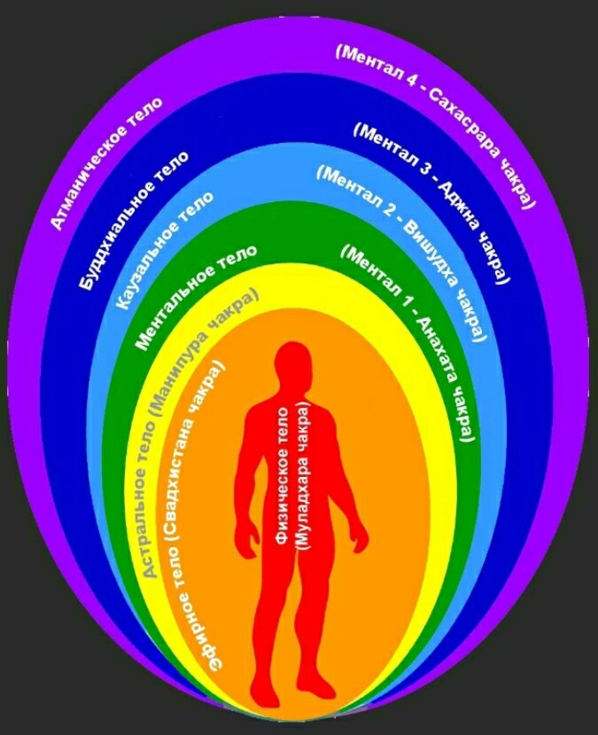 Плотное (материальное) и тонкие тела (эфирные оболочки) Человека