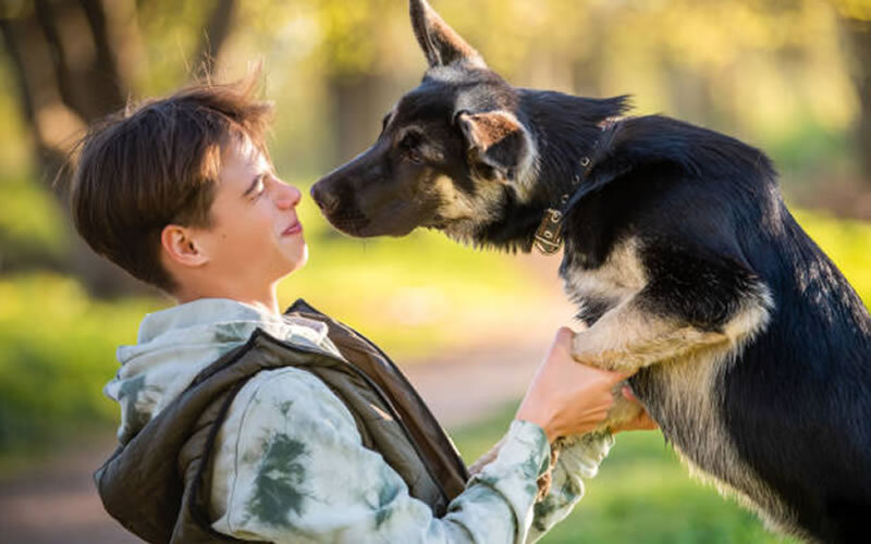 По-видимому, таким способом собаки позволяют себе приветствовать лишь заведомо не представляющих угрозы существ, не зависимости от того, к какому виду они принадлежат. Фото Maria Moroz/Istock
