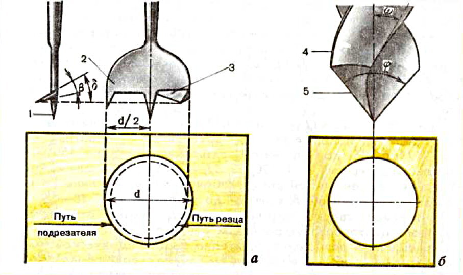 Принципы сверления древесины: а - сверло для поперечного сверления; б - сверло для продольного сверления: 1 - направляющий центр; 2 - одиночный подрезатель; 3 - горизонтальный резец; 4 - винтовая канавка; 5 - режущие кромки.