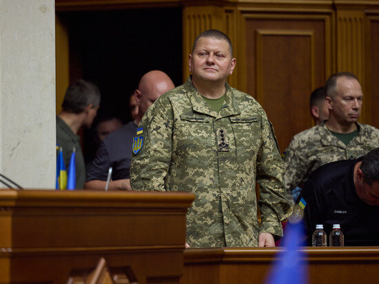     главком всу валерий залужный / ru.wikipedia.org