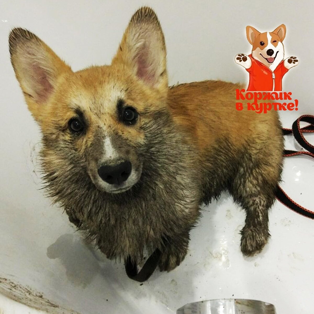 Просто приходил Сережка, поиграли мы немножко