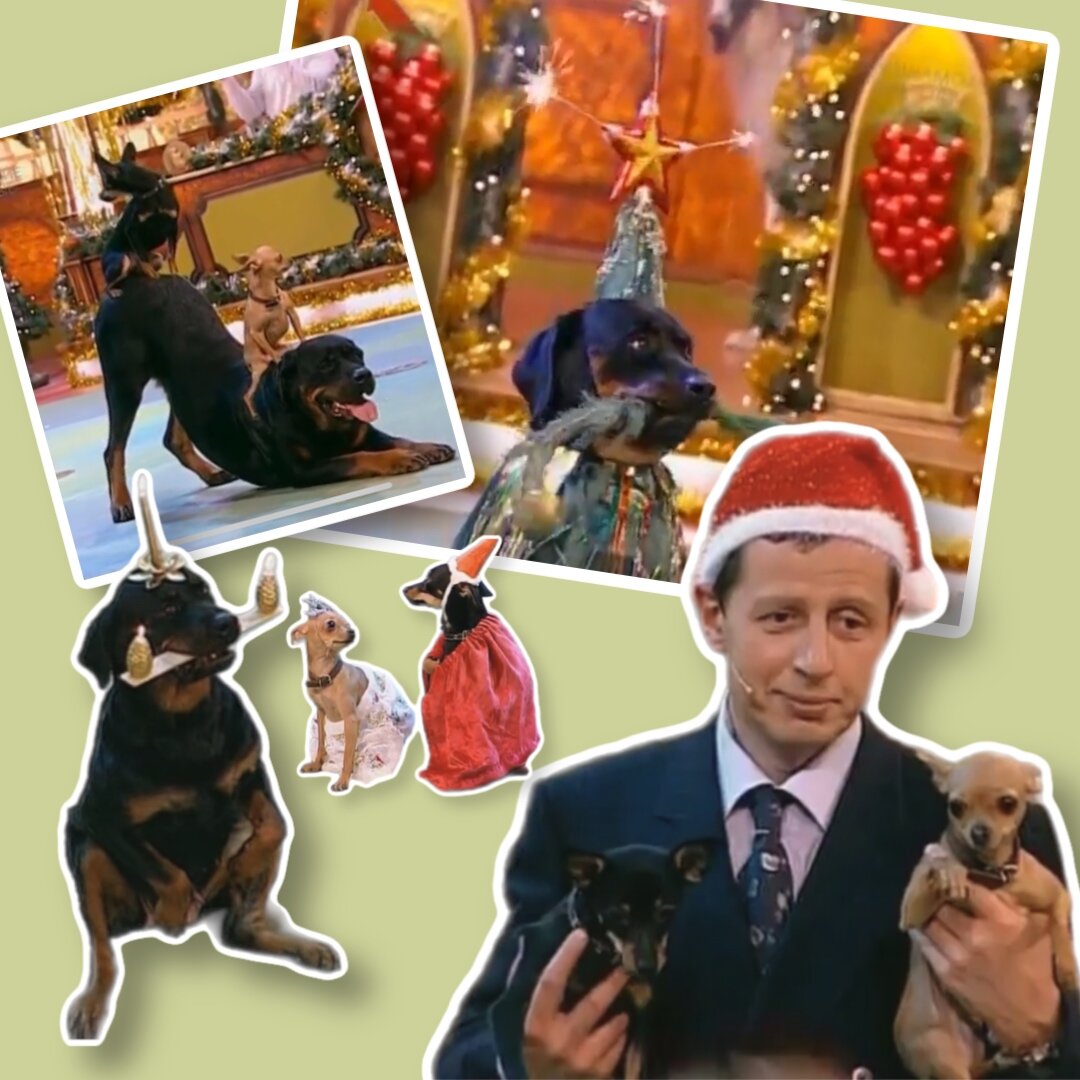 Кадры из "Я и моя собака"