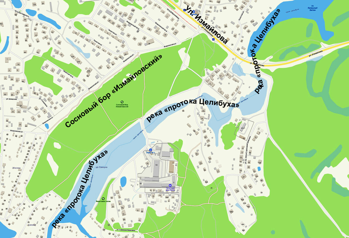 Сосновый бор Измайловский и река протока Целибуха (Яндекс карта)