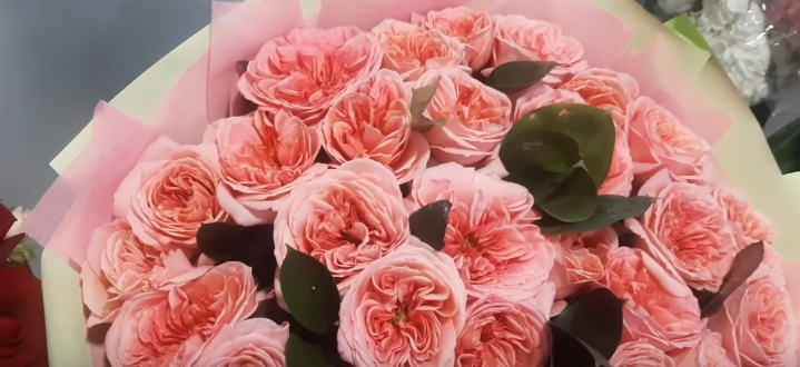 Цветы требуют правильного ухода. И, тогда, они будут радовать вас максимально долго. Организм женщины подобен цветку. За ним необходим периодический уход и своевременное обследование у врача.