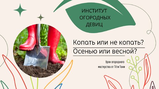 Копать или не копать? Осенью или весной? Чем?