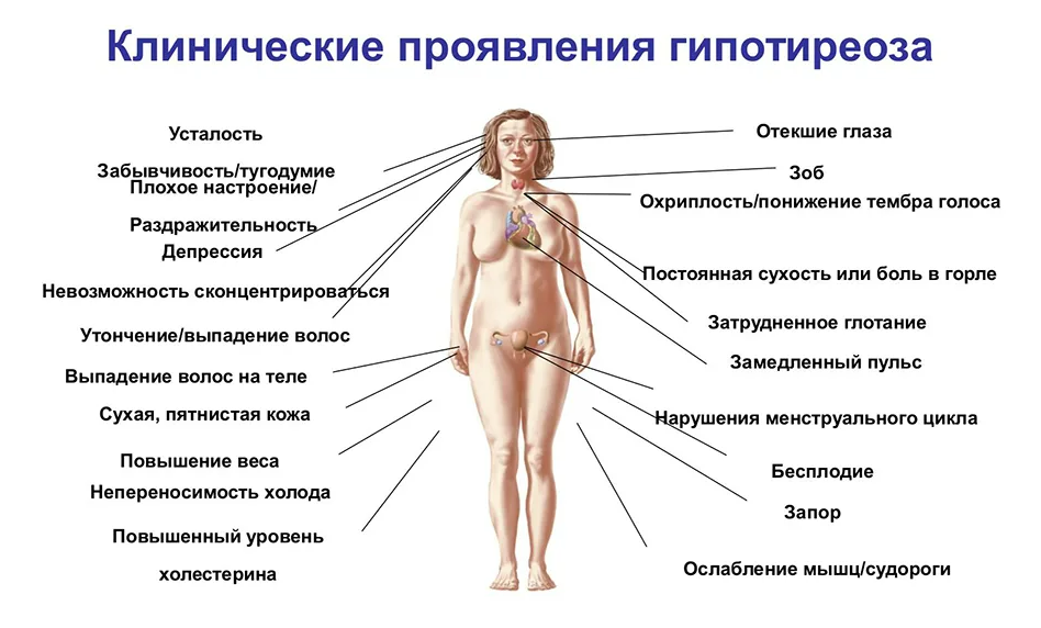 Признаки щитовидки у женщин симптомы