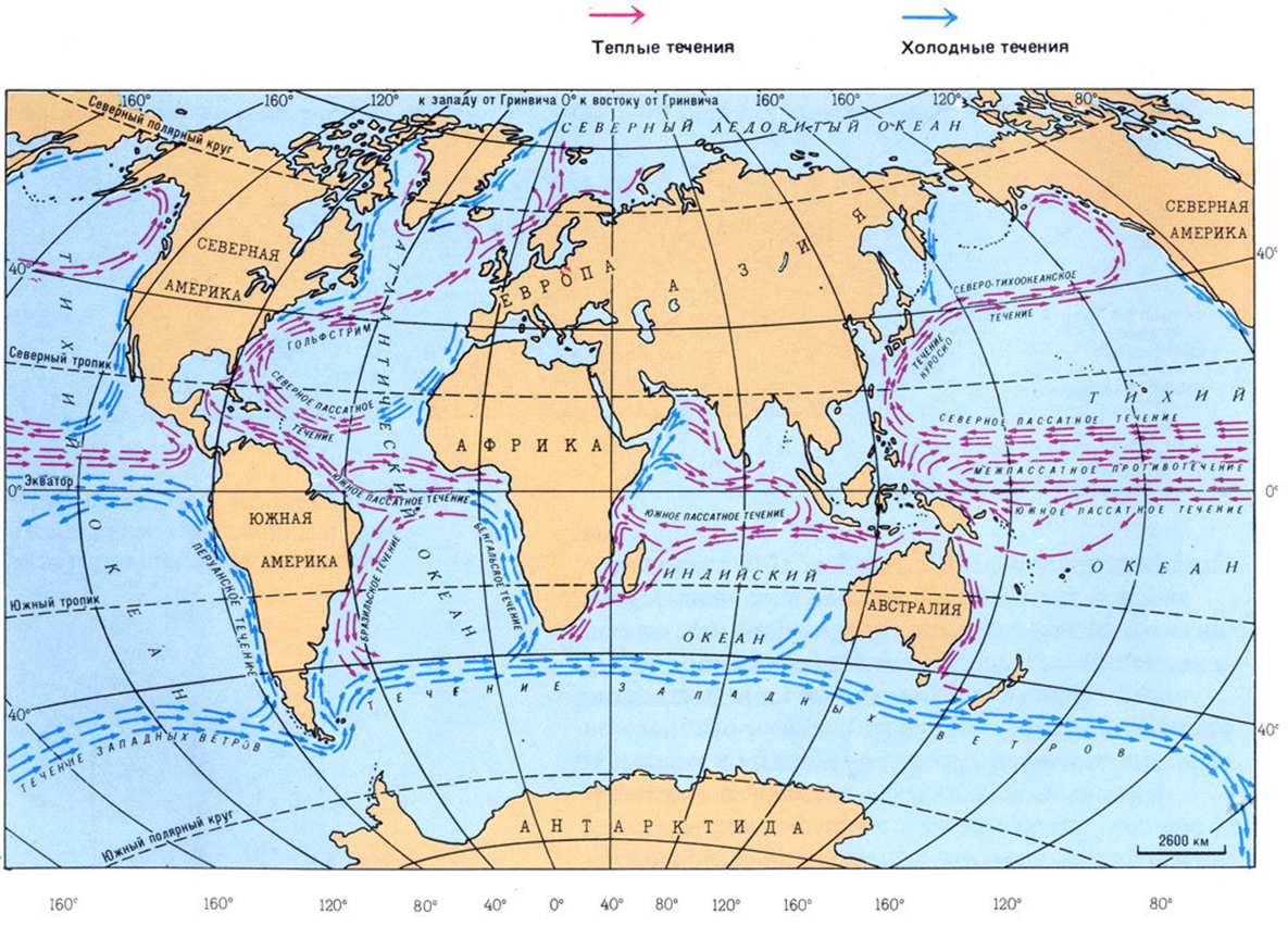 Океаны 1 7 класс. Карта поверхностных течений. Основные течения мирового океана на карте. Карта поверхностных течений мирового океана.