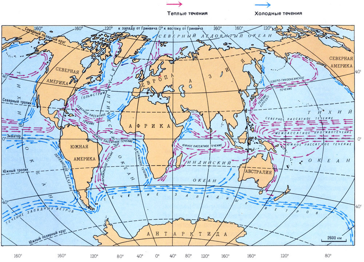 Карта течений 7 класс. Карта течений мирового океана. Тёплые и холодные течения на карте мирового океана. Карта поверхностных течений. Карта холодных течений мирового океана.