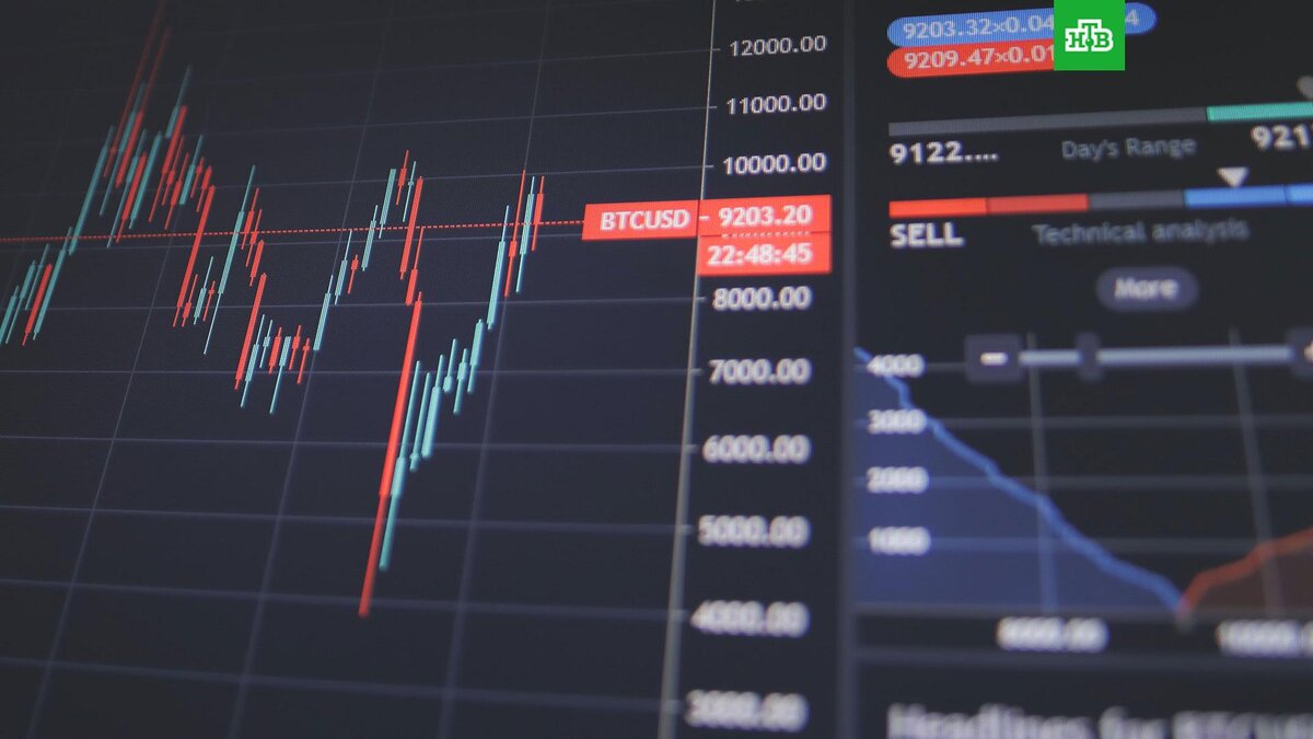    Фото: Nick Chong / unsplash.com