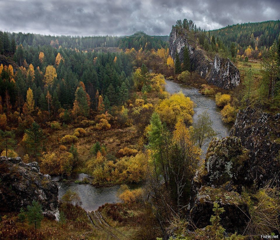 Река Талица