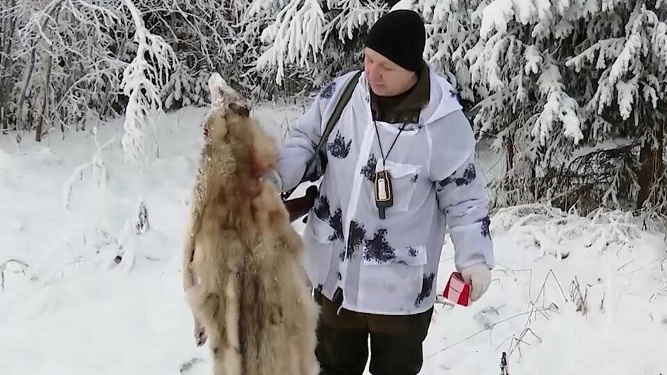 Фото: © Скриншот видео