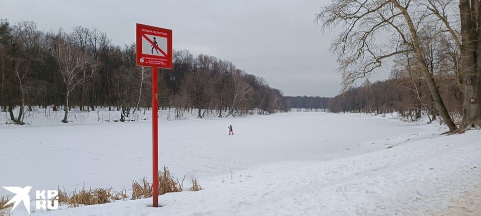   Александра БУДАЕВА