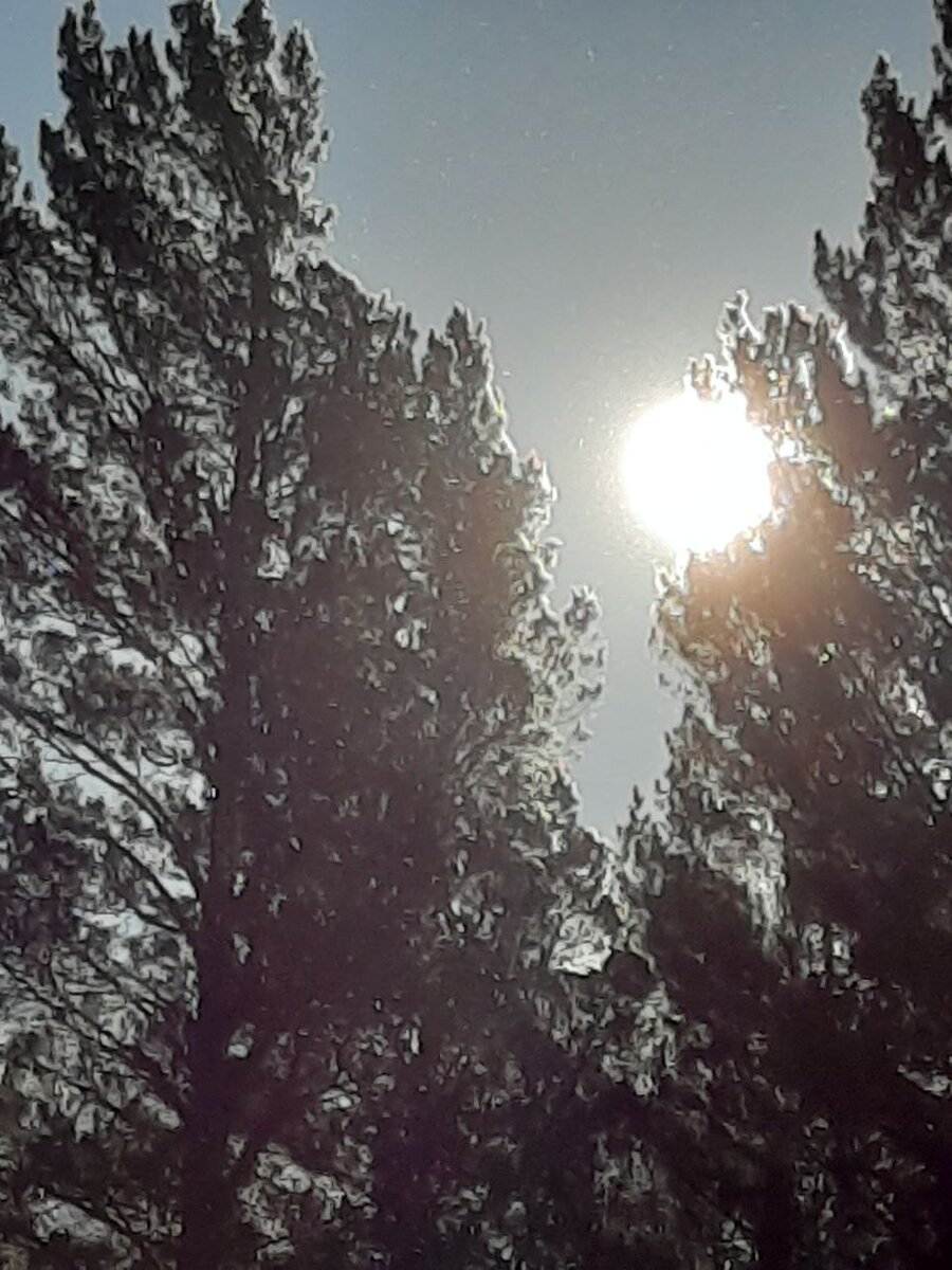 Фото автора.