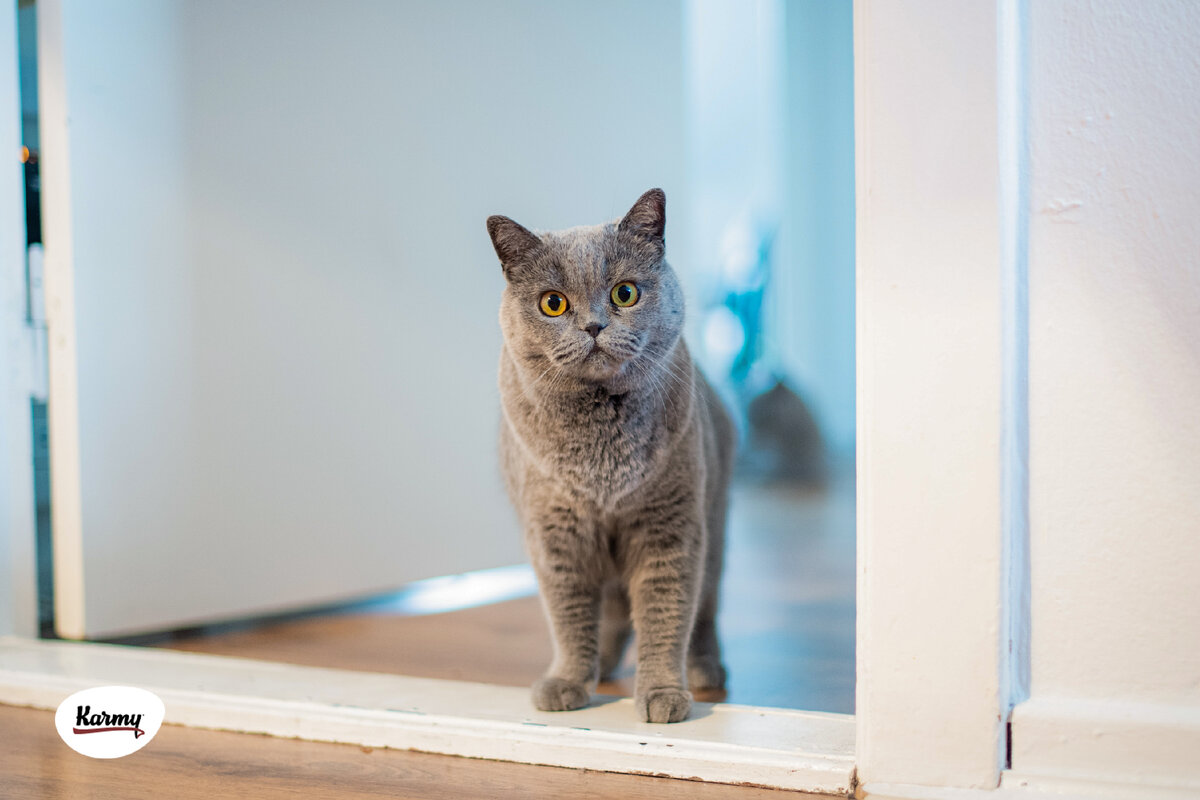 Авторское изображение с использованием картинки с фотостока "Unsplash"