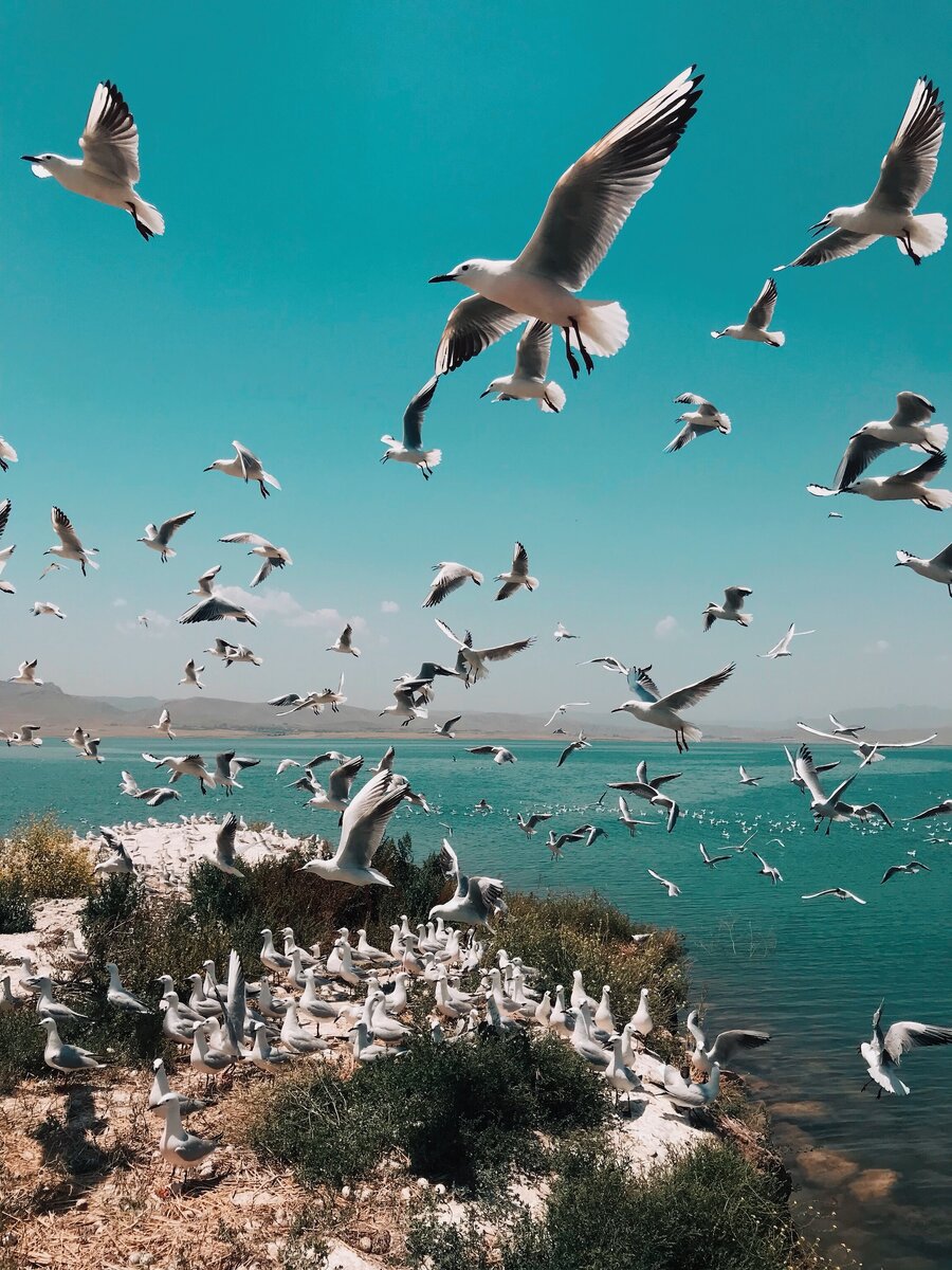    unsplash.com
