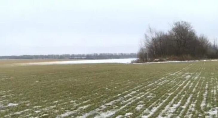    Сельхозпроизводители Тамбовщины перевыполнили план по приобретению удобрений на 50 процентов