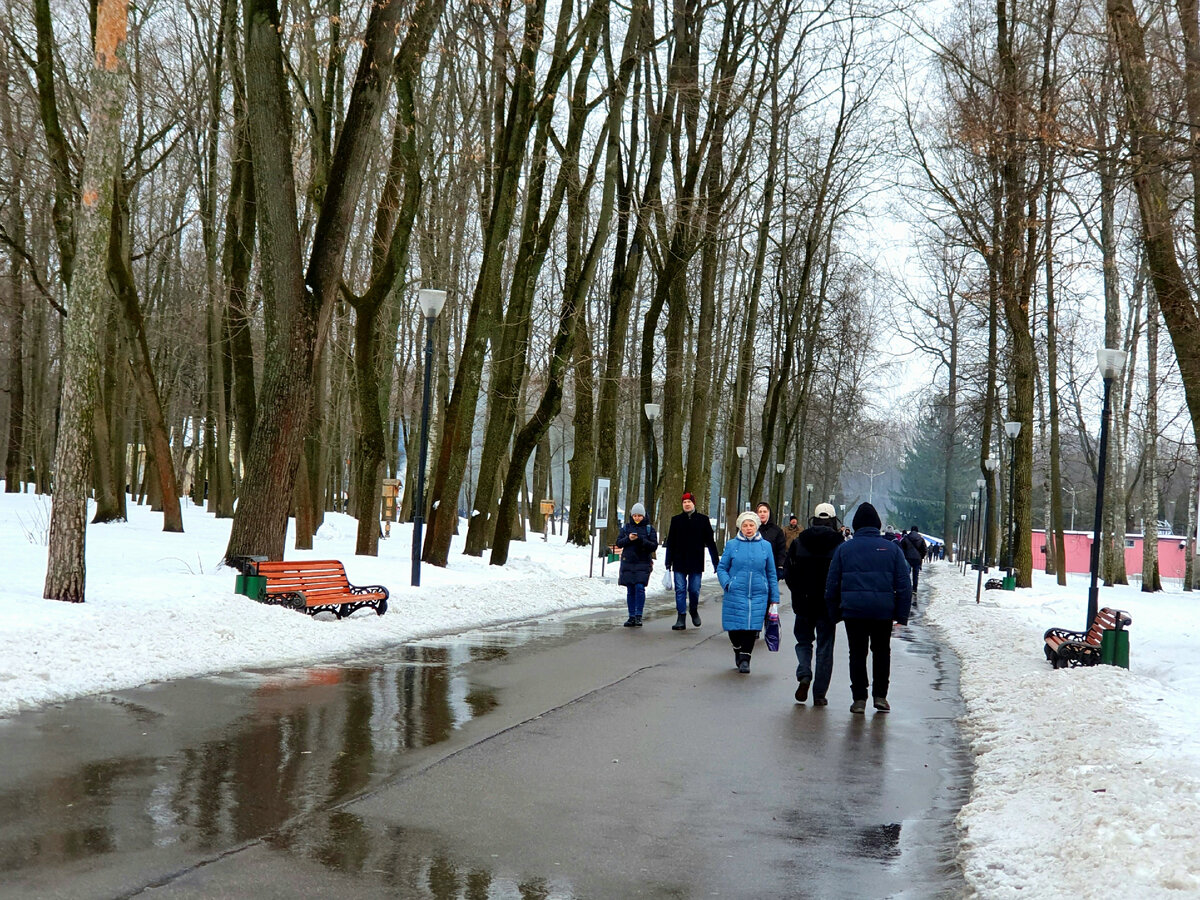 тульский парк зимой