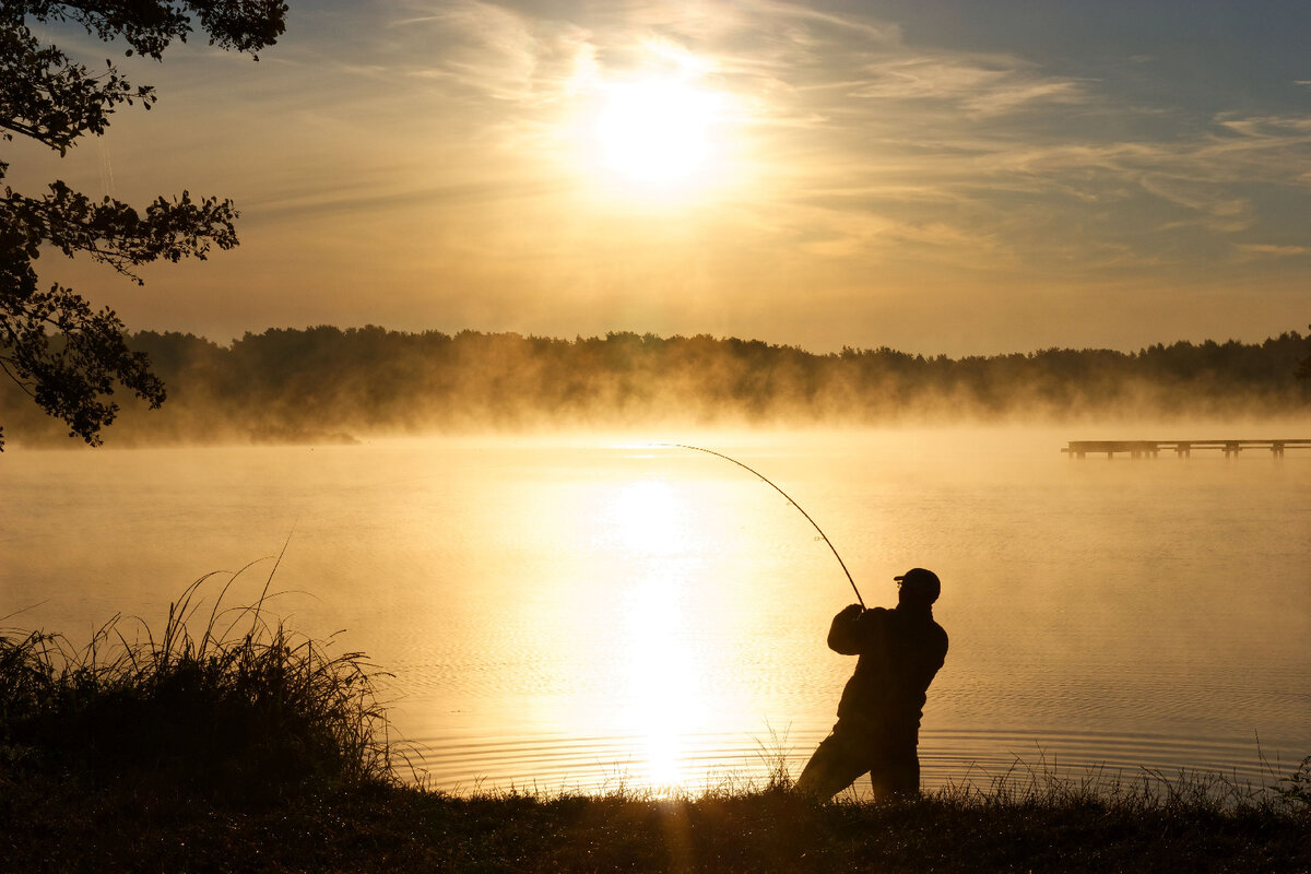   Фото:iStock