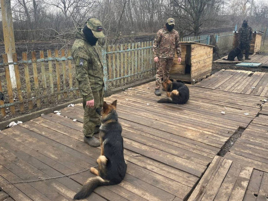    Фото: Законодательное Собрание ЯНАО