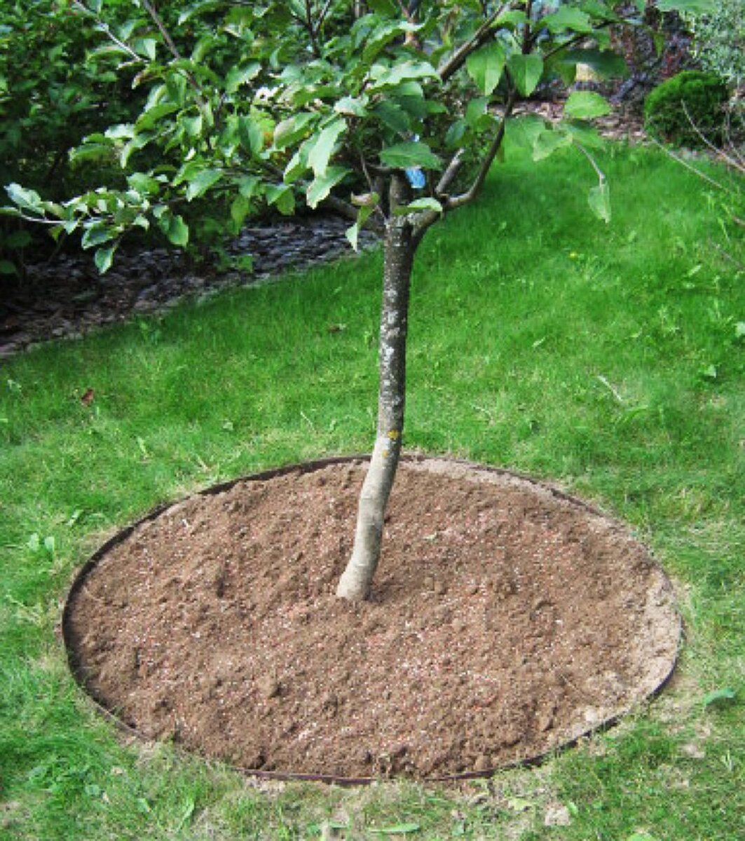 Фото из интернета, для примера