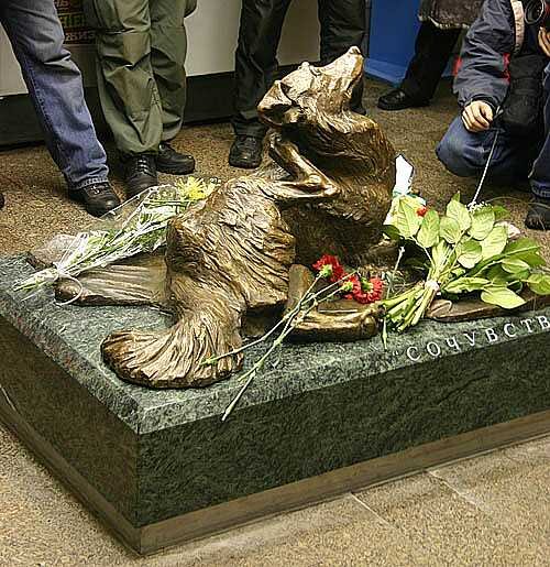 фото из интернета