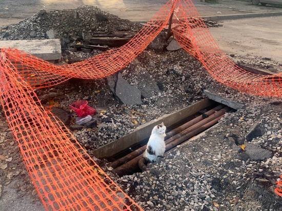     фото: МК в Туле, Лилия Апрятова.