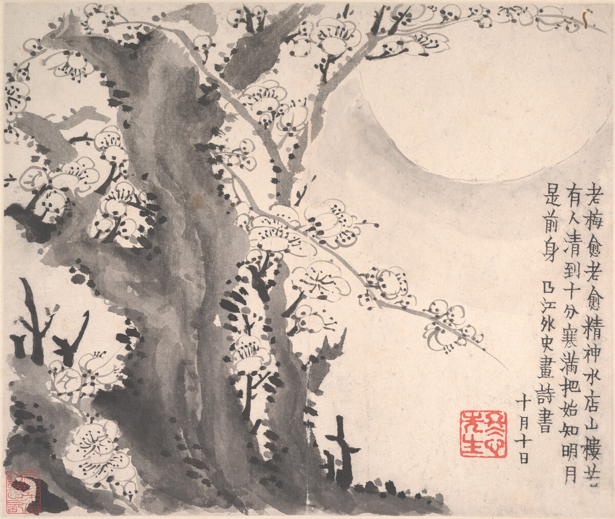  Цветущая слива. Цзинь Нонг (金農, 1687–1764)