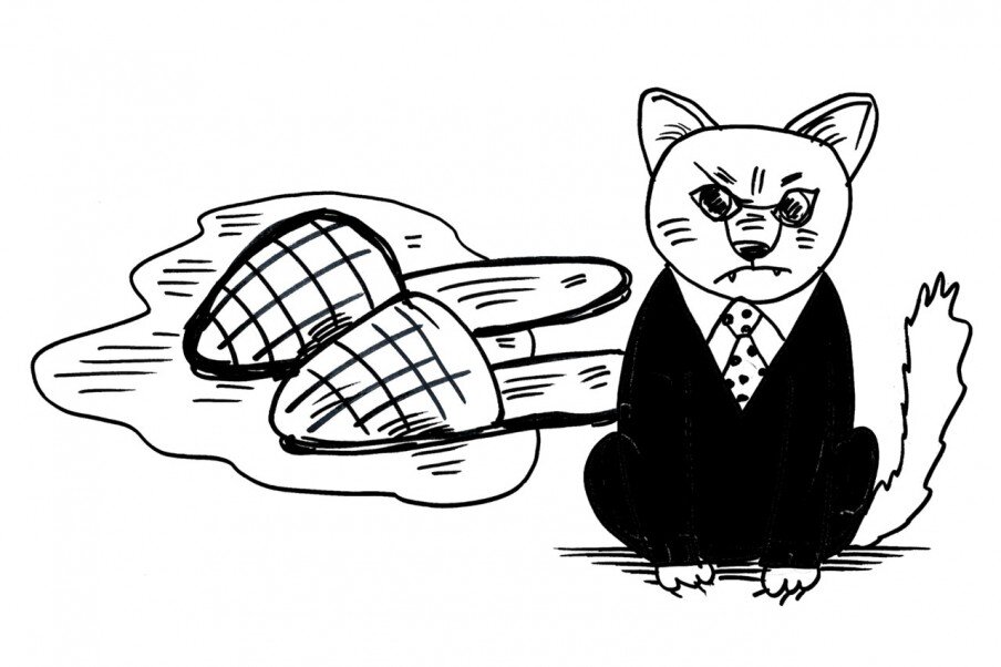 Рисунок: Дмитрий Петров / "Солидарность" 
