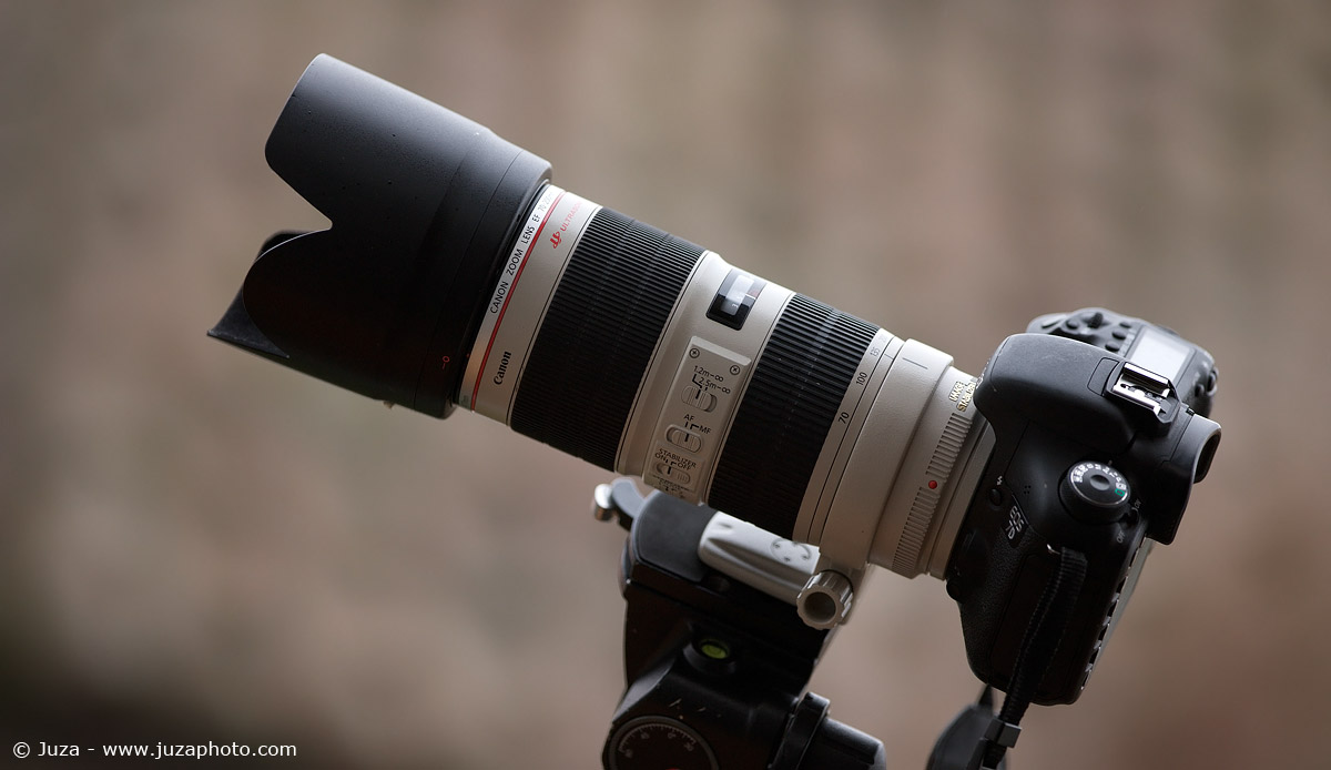 70 200 l. 70-200 2.8 Canon. Canon 70-200. Canon EF 70-200mm f/4l USM. Canon 70-200 2.8l.