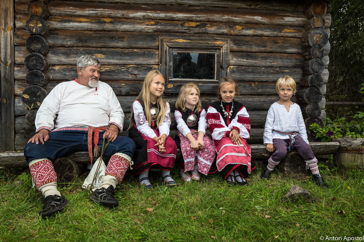 Вепсы чудь водь