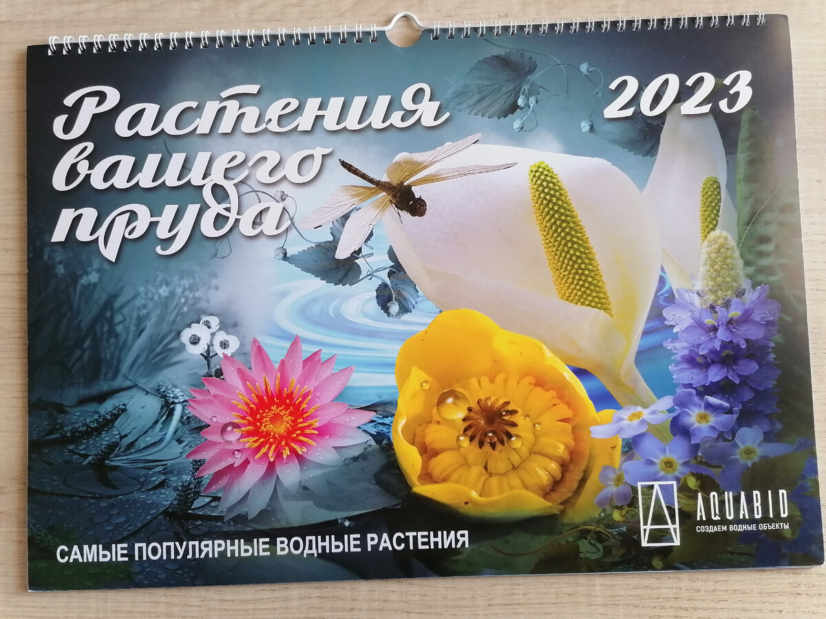 Календарь - подарок для подписчицы, занявшей почётное  3е место