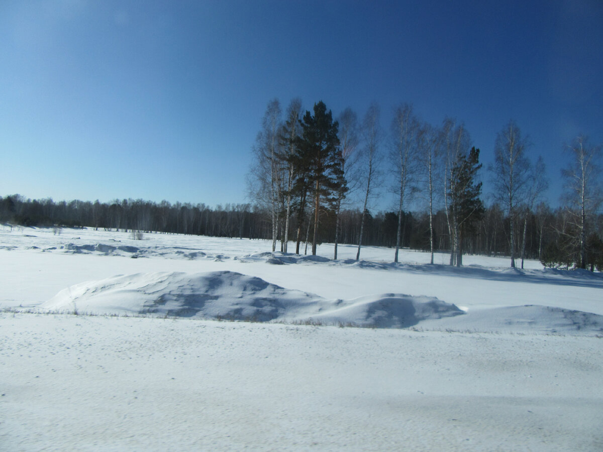 трасса