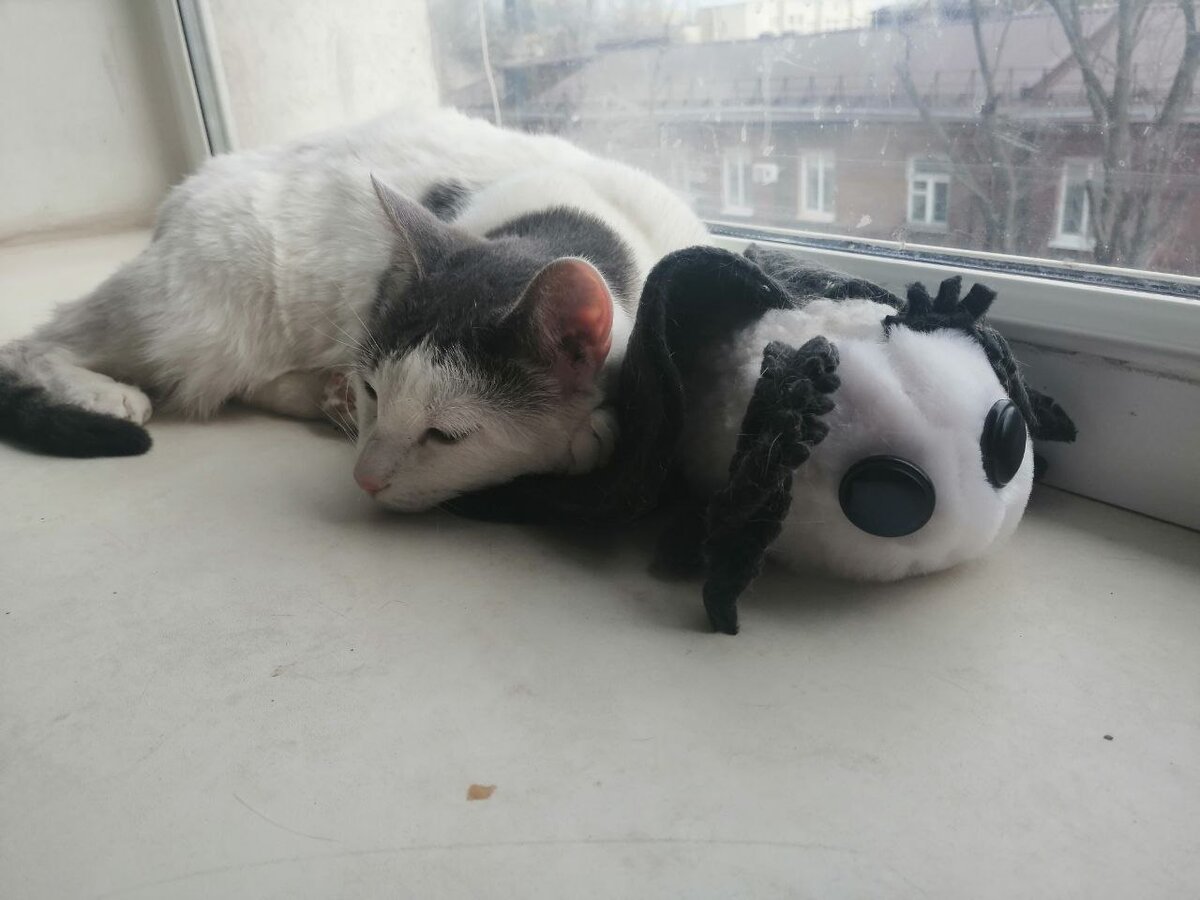 Сана и моль. Просто красоты в ленту. 