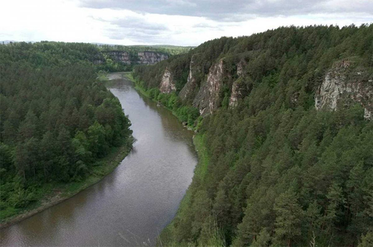     «Барсучий Лог».