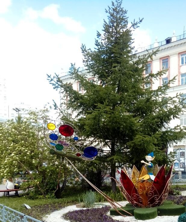фото автора