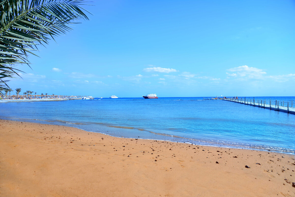Источник фото: https://pegast.ru/agency/hotels/pickalbatros-palace-resort-hurghada-16919#/agents