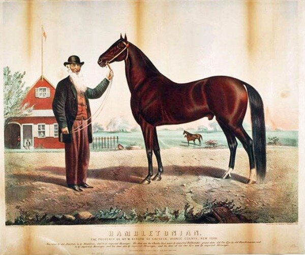 Hambletonian 10   Фото: thebreeders.co.nz