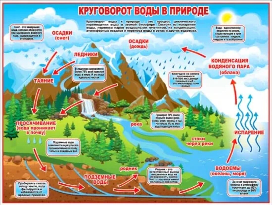 Интернет нам в помощь.