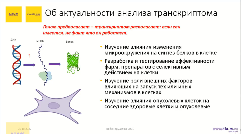 Актуальность изучения транскриптома