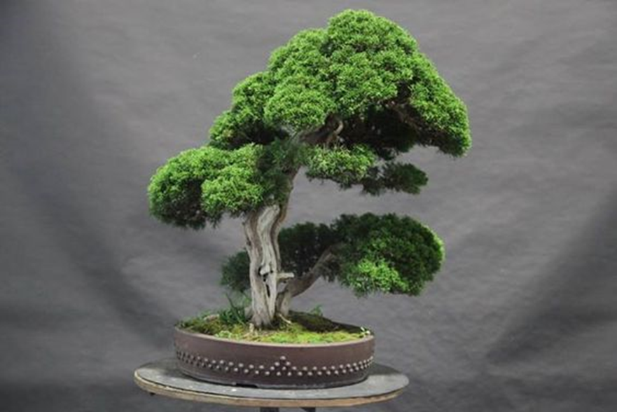 Источник: https://ru.pinterest.com/pin/212372938652397202/