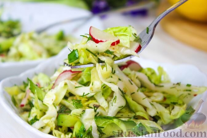 капуста белокочанная, огурцы, редис, лук зелёный, зелень укропа, орегано, базилик, соль, перец молотый, масло растительное