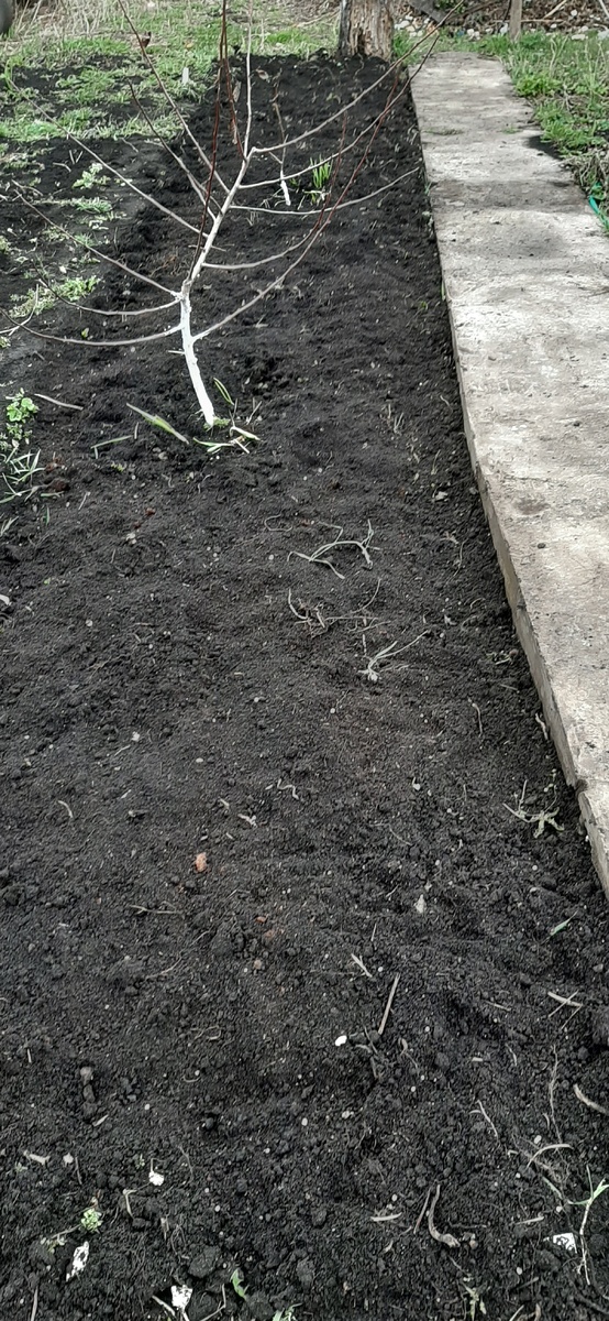 Вот она моя грядочка.