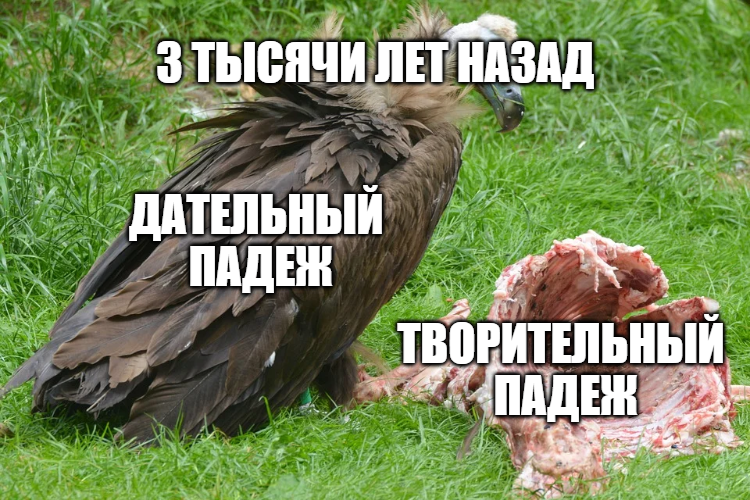 Просто мем / Pixabay