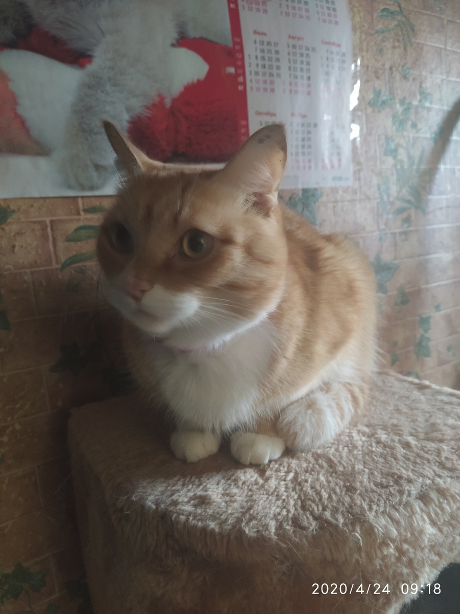 Ему два года 