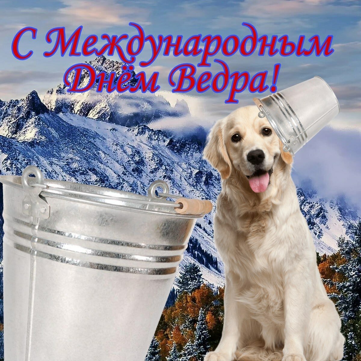 С международным днем ведра